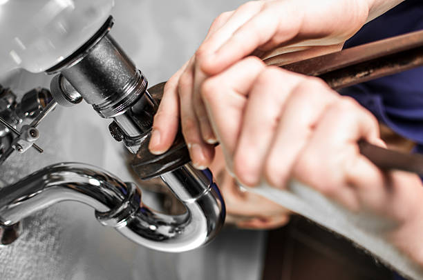 Best Garbage Disposal Repair and Installation  in Suamico, WI